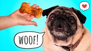 5 Easy to Make DIY Dog Stuff and Gift Ideas For Dog Owners