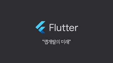 요즘 앱개발은 플러터로 해도 충분한듯 (플러터 설명과 장단점)