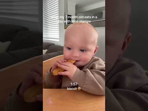 Can Babies Eat Biscuits At 7 Months