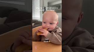 What My 7 Month Old Eats In A Day With Time Stamps Poprushusa
