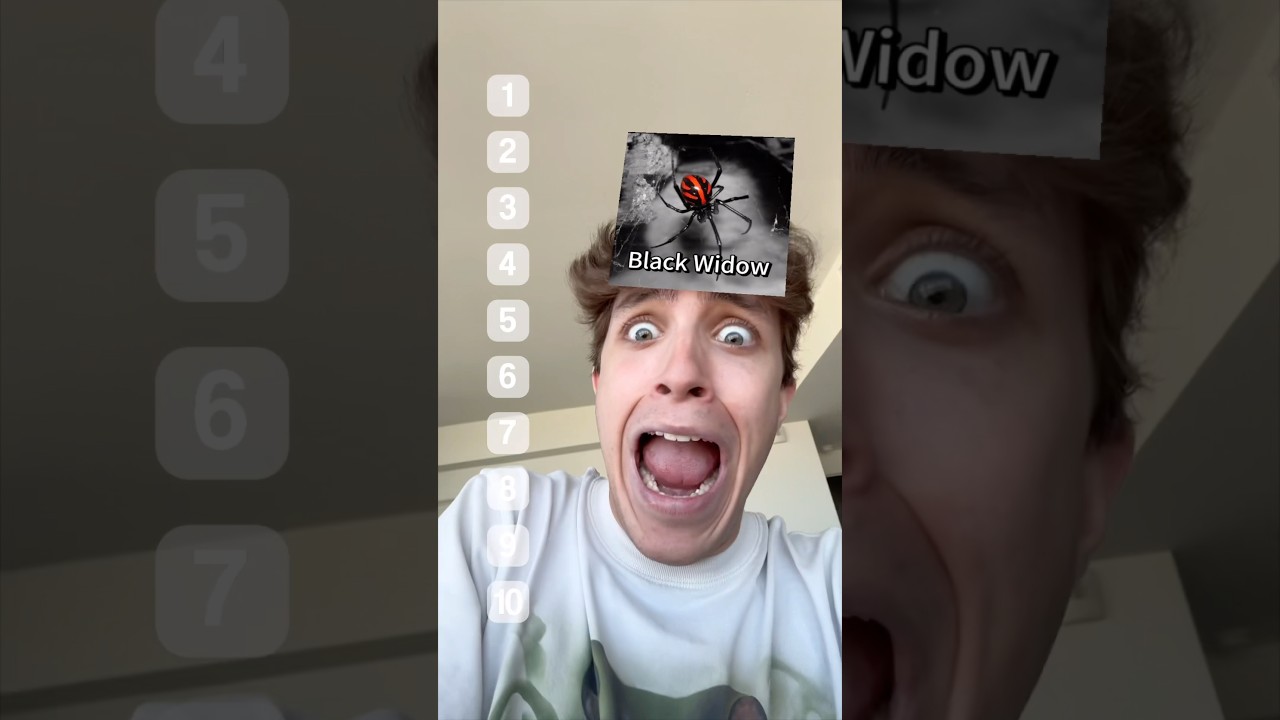 Valorando arañas siendo aracnofóbico 🕷️😂 | Iker Unzu