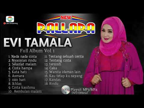 DANGDUT KOPLO EVI TAMALA NEW PALAPA