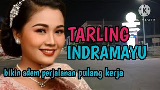 Download Lagu TARLING INDRAMAYU_TARLING CIREBONAN_BIKIN ADEM PERJALANAN PULANG KERJA@CitraputriAyudia  MP3