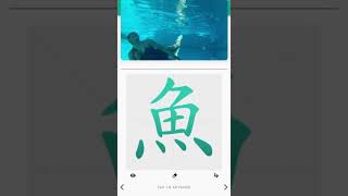 How To Write 美人魚 🧜🏼♀️ Mermaid In Chinese Www.OnnaLoves.com Underwater Artist Calligrapher How To Write 美人魚 🧜🏼♀️ Mermaid In Chinese Www.OnnaLoves.com Underwater Artist Calligrapher