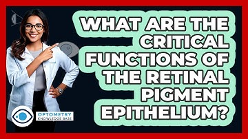 What Are The Critical Functions Of The Retinal Pigment Epithelium? - Optometry Knowledge Base
