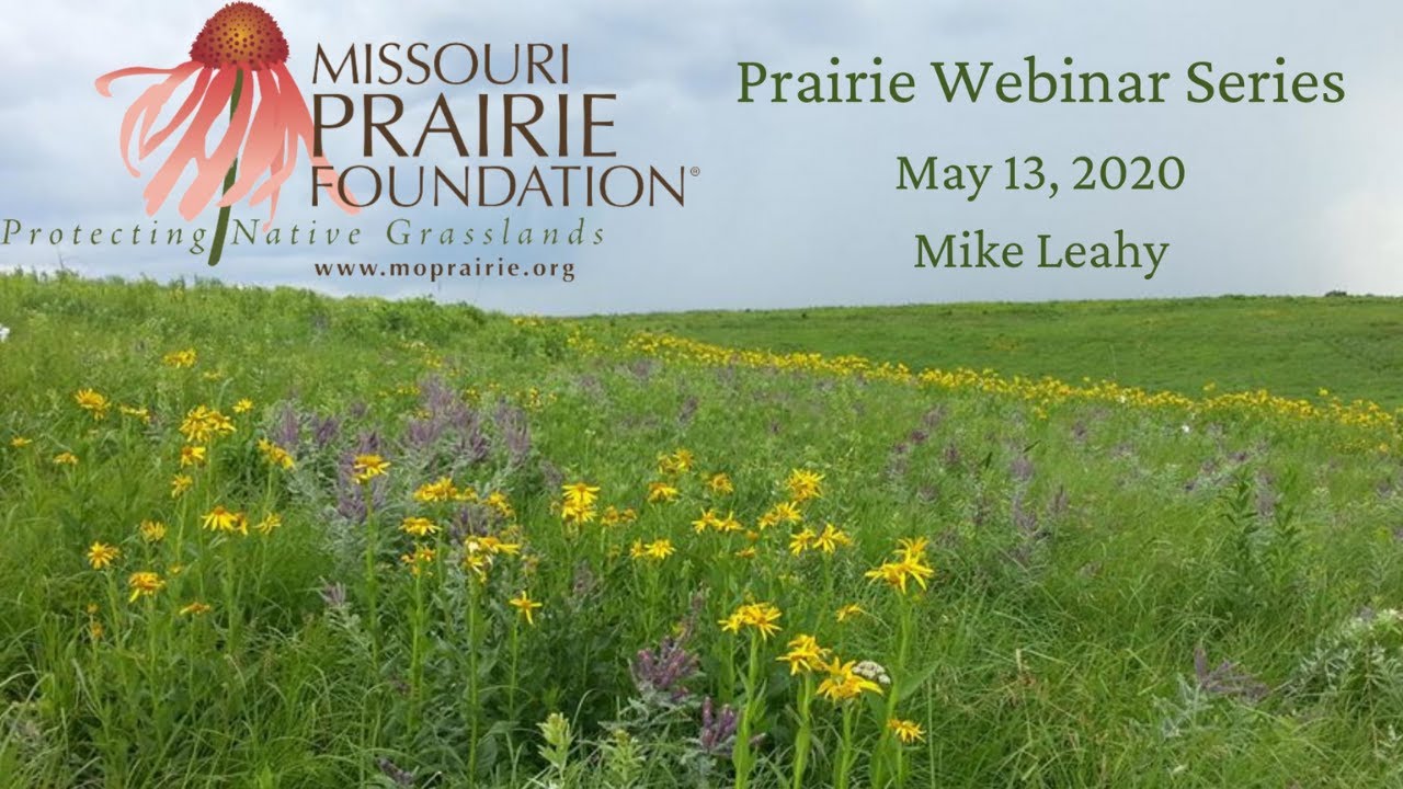 Prairie Webinar Series: Mike Leahy - A Tour of Missouri's Natural Communities