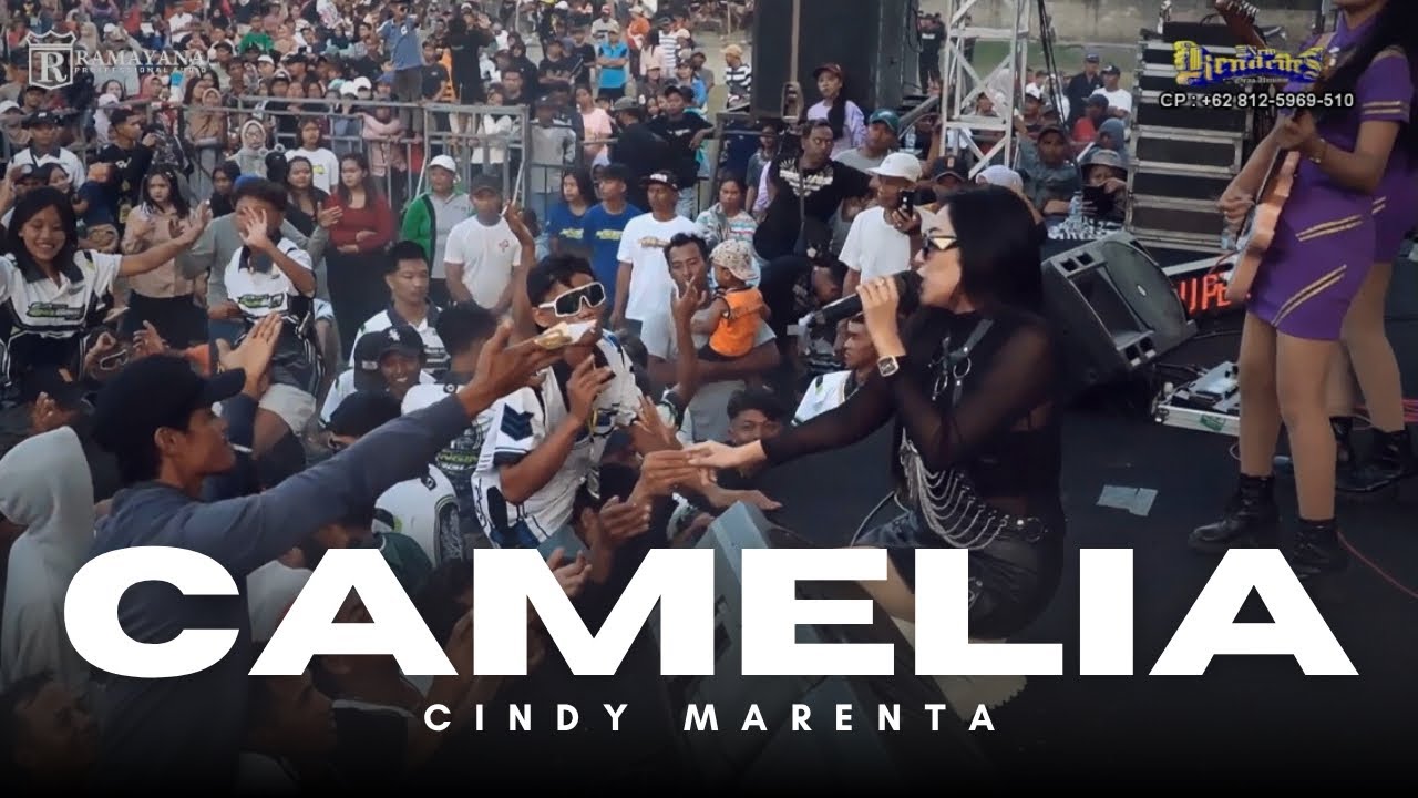 CAMELIA - CINDY MARENTA NEW KENDEDES LIVE RINGINBAGUS PUNCU KEDIRI 2025