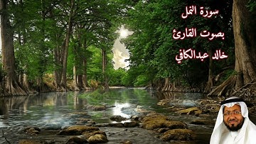 سورة النمل بصوت القاري/ خالد عبد الكافي - Surat Ann'aml