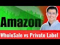 Amazon Wholesale vs Private Label in 2025 | Best Amazon FBA Business Model Explained in Urdu/Hindi