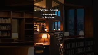 🌙 full moon over tokyo · lofi to study &amp; drift  #silentshelf #lofi #studymusic