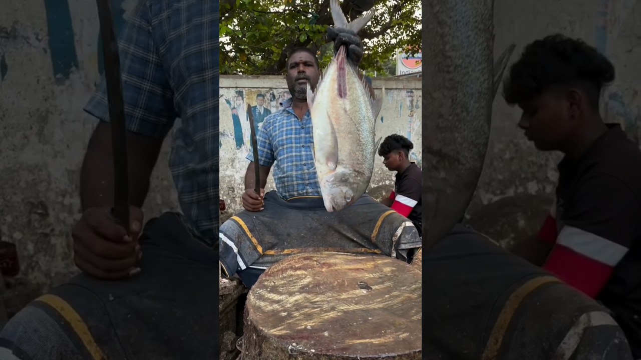 minnal Raja incredible fastest fish cuts🔥🔪. 