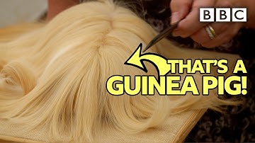 Inside the wacky world of Guinea Pig competitions! - BBC