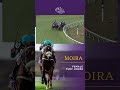 Moira wins the Eclipse Award for Female Turf Horse! Congrats to this #BC24 Champ!