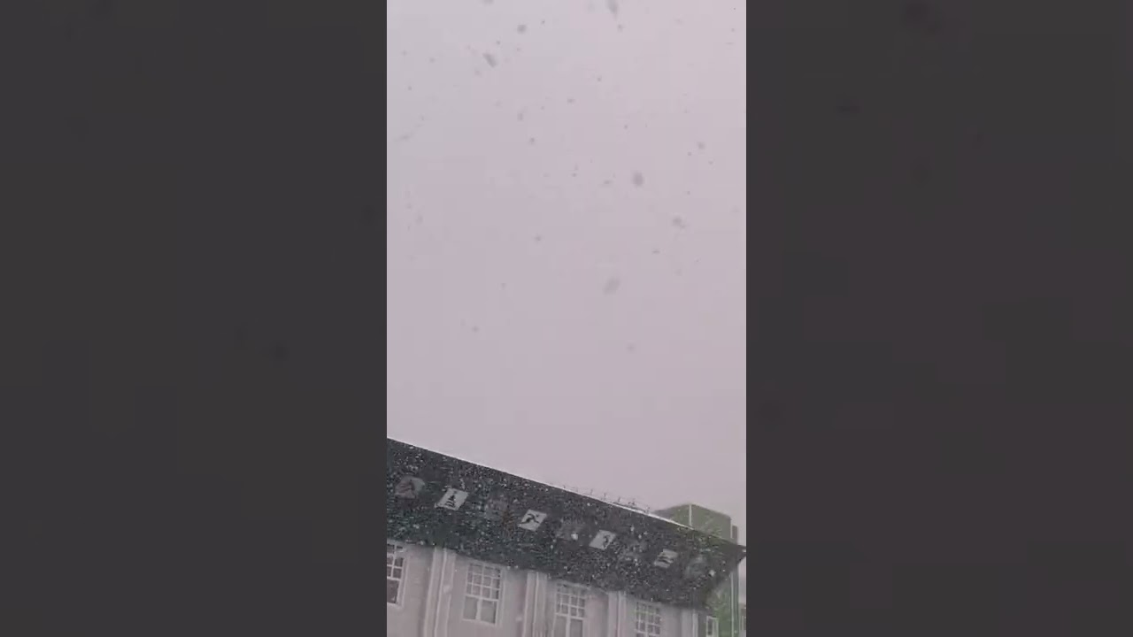 21 апреля 2022 г.