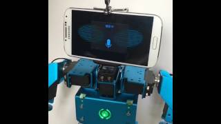 Init And Communicate With Ironbot