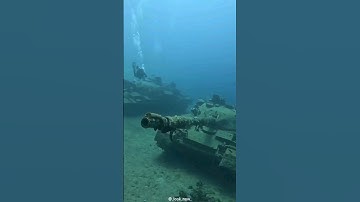 This is How Artificial Reefs Help.