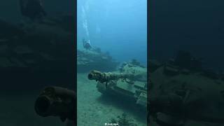 This is How Artificial Reefs Help.