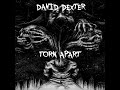 David dexter  torn apart music  industrial doom metal