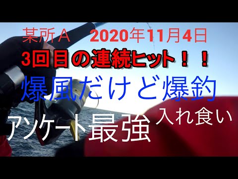 某所A釣果　ショアジギング　連続ヒットが止まらない！！　入れ食い！　　2020年11月4日　青物　沖向きテトラ　ブリ　メジロ　ハマチ　　サゴシ　サワラ　ポポパパ Shore jigging