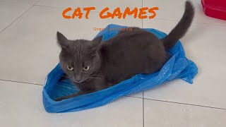 Bag Of Joy Russian Blue Cats Cheerful Crinkly Play