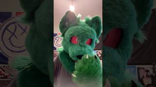 The Pondering of the Zombie Kitty #youtubeshorts