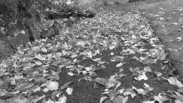 Need For Speed No Limits   Gameplay part 8