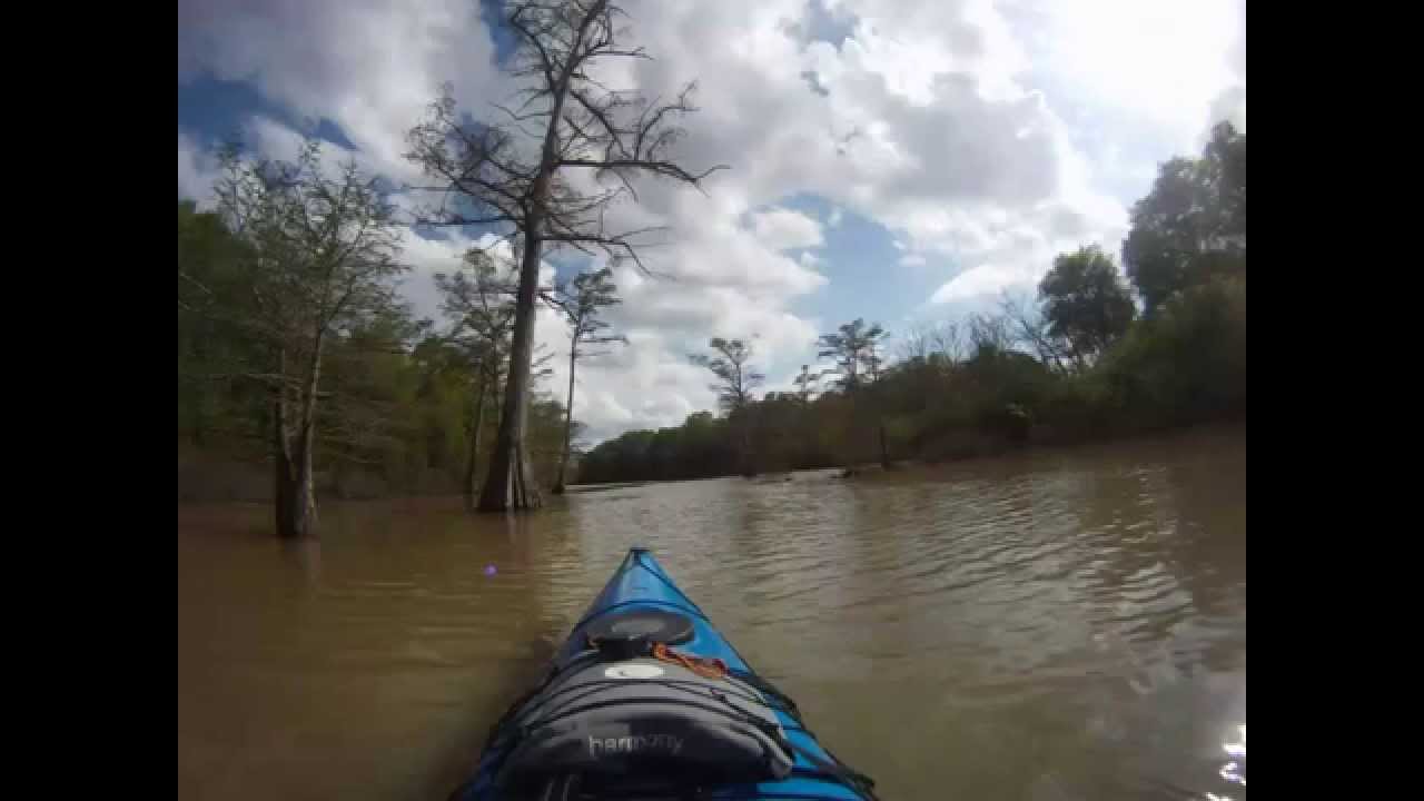 Kayaking Bayou Robe Water Trail Arkansas, Dagmar WMA