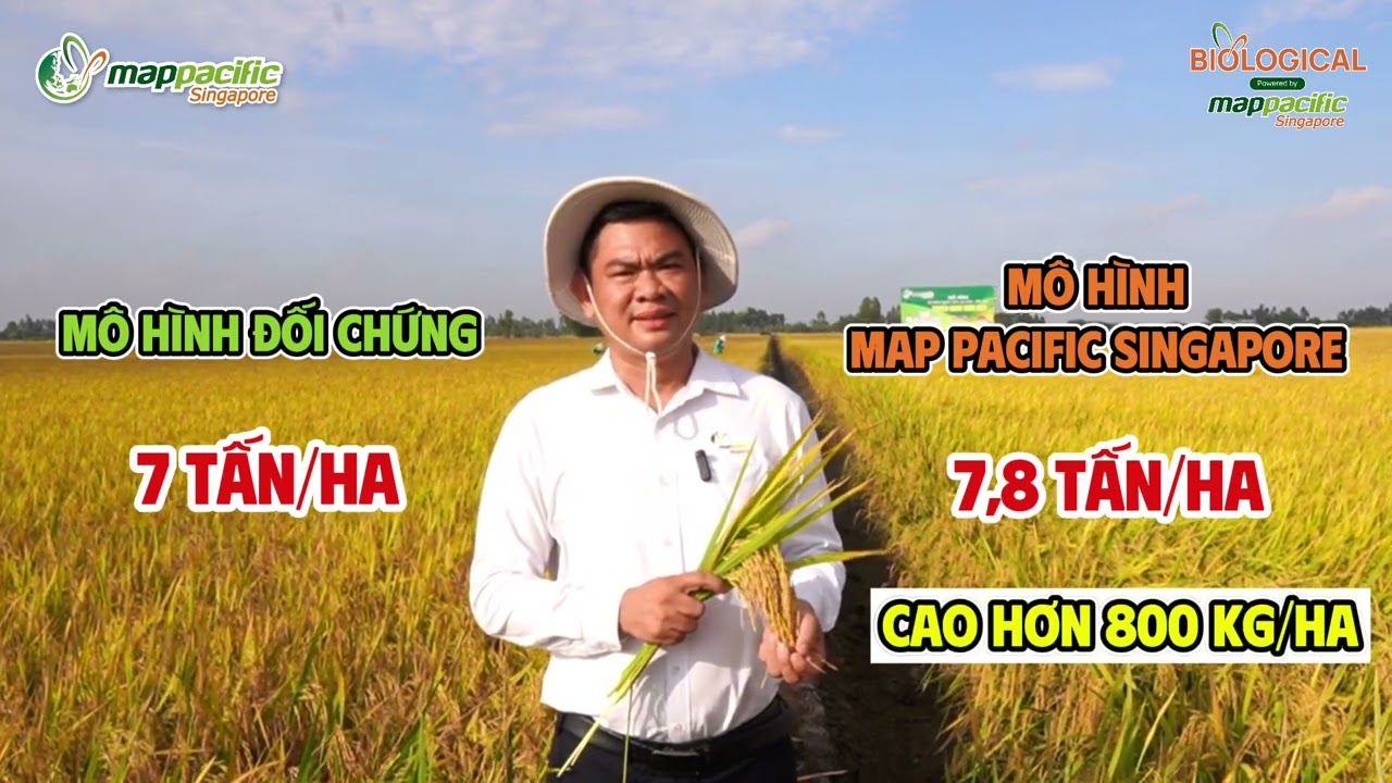 TĂNG NĂNG SUẤT, GIẢM CHI PHÍ NHỜ ÁP DỤNG SỨC MẠNH TỰ NHIÊN TỪ MÔ HÌNH SINH HỌC - youtube