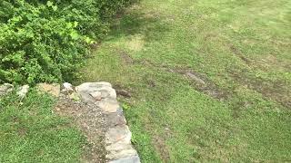 IMG 2460