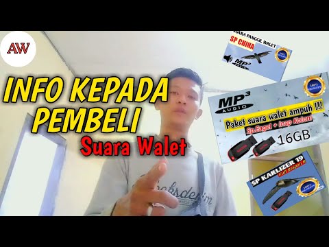 info-beli-suara-walet-#agungwbs