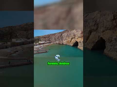 Dive into the