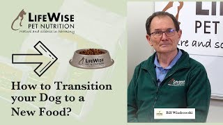 How to transition your Dog to a New Food?