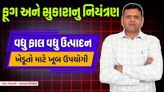 ફ્લાવરિંગ ચુસિયા તથા ફૂગ અને સુકારાનું નિયંત્રણ | info Of Ravi Crop Paresh Goswami