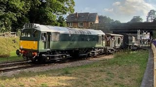 Class 25 | 25901 - D7612 | Spa Valley Railway | Groombridge | 27/08/22