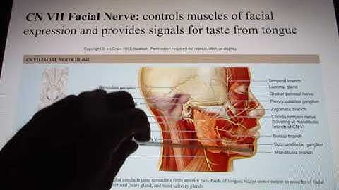 ACC Biol2401 API Nervous System4 Cranial Nerves Online Lecture