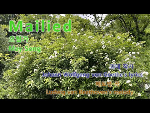 Mailied ♪ 오월가 May Song / Goethe & Beethoven  (독일어 German) 마일리트 5월의 노래