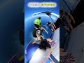 Only 1% Can Control This Skydiving Jump 🤯 Pro vs Beginner #shorts