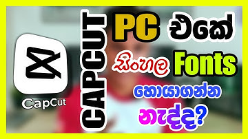 හොයාගන්න බැරි CapCut Font ප්‍රශ්නේට විසදුම | Solve can