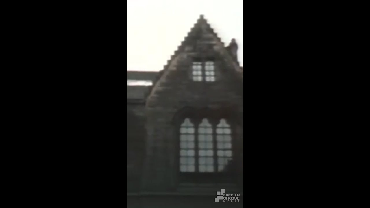 Я, карандаш — вечный урок Милтона Фридмана