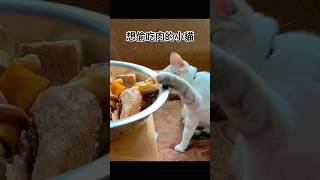 點個讚，愛心會變成小貓的圖樣喔