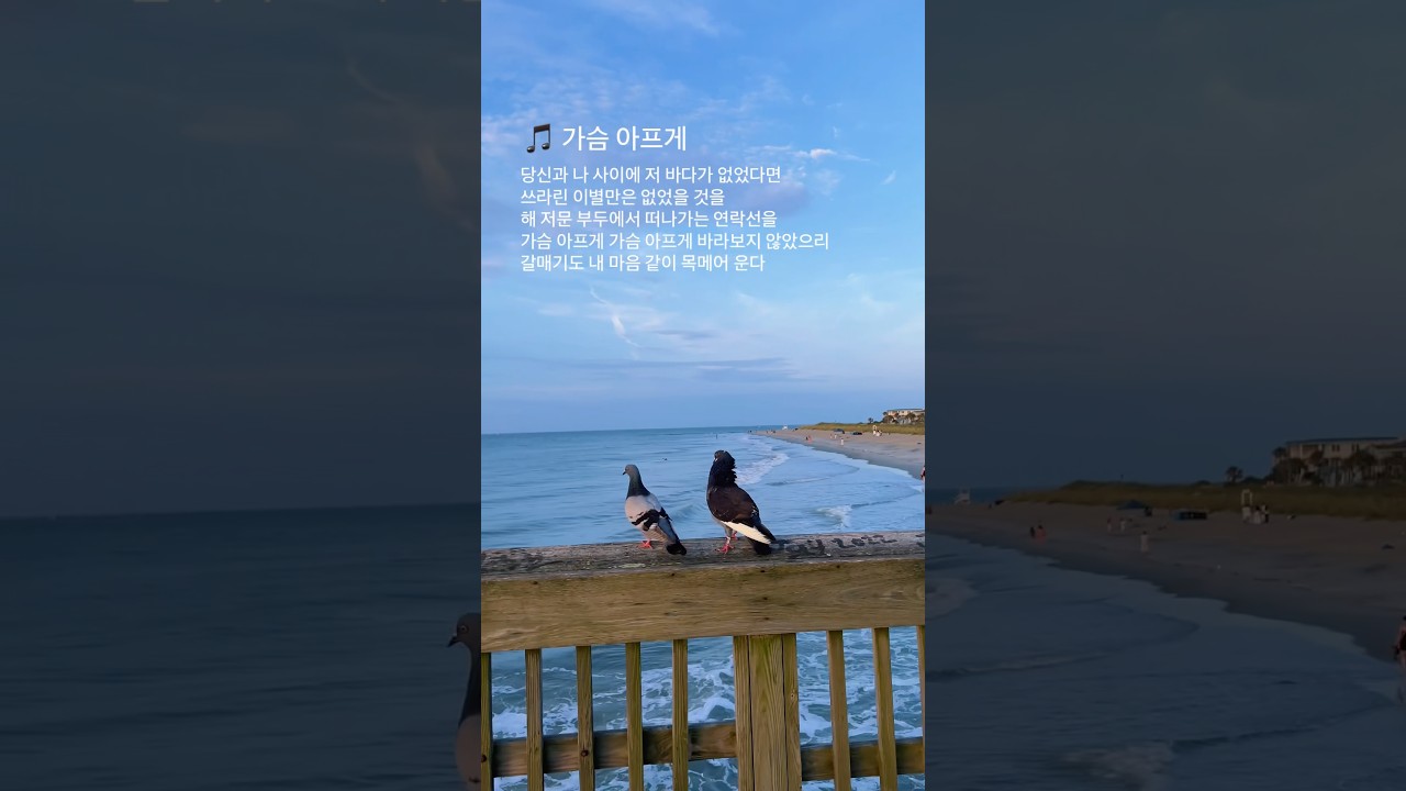 황금빛 일출 따라 흐르는 옛 노래 | 타이비 아일랜드의 추억 #shorts
