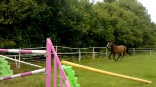 Delphi De Luna jumping 46