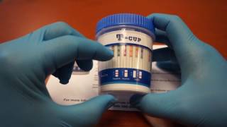 Celebrity 14 Panel T-cup Drug testing kit instructions on how to use and administer the test. Wealth