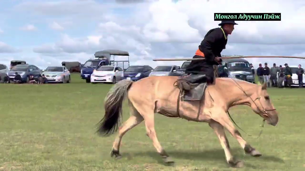Хэнтий аймгийн Үндэсний 7 их наадмын хүрээнд зохион байгуулагдсан Адуучин тэмцээн 2022 он 6сар