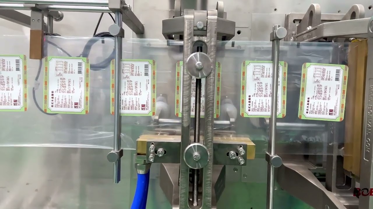 BHS-180 HFFS Powder Flat-Pouch Packing Machine with Labeling