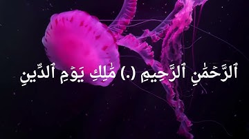 🎙️ "سورة الفاتحة بصوت خاشع | تلاوة محمد سايد - رواية ورش عن نافع | ترتيل يأسر القلوب"نص فقرتك