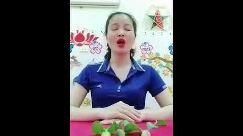 Cách làm con cá từ bèo tây