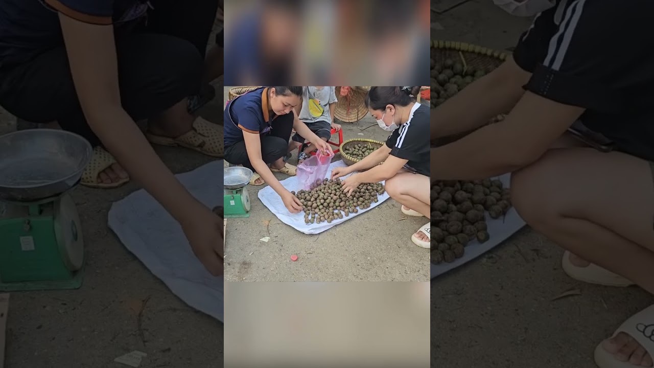 Nice guy quietly takes care of his crazy mother Part13 