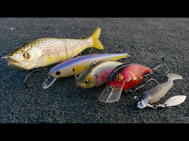 best bass lures early spring Top 5 Baits For Early Spring Bass Fishing! ( How To Fish Them )