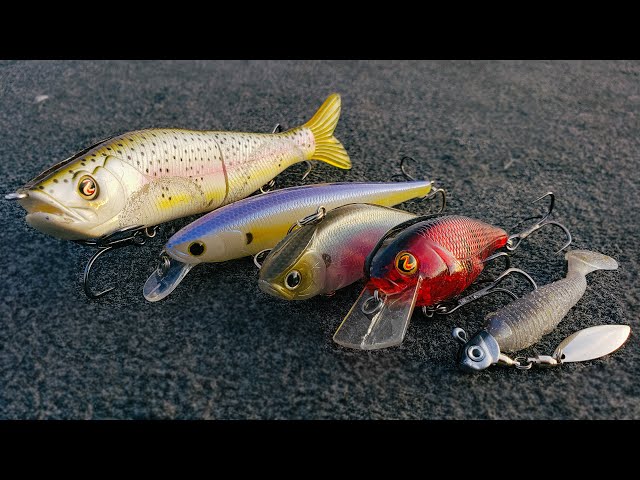 Jason Christie's Top 10 EARLY Fall Bass Fishing Lures